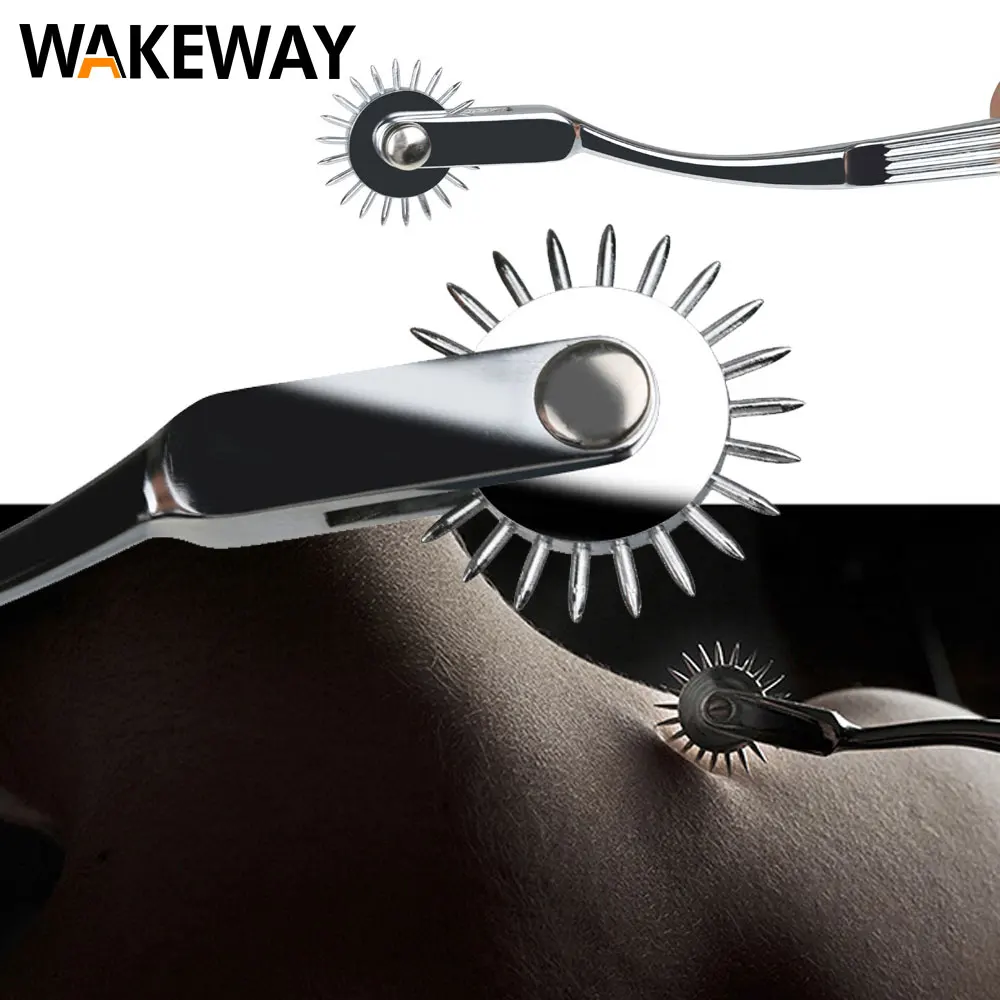 Zdjęcie produktu z kategorii gadżetów BDSM - WAKEWAY Stainless Steel Pinwheel Needles